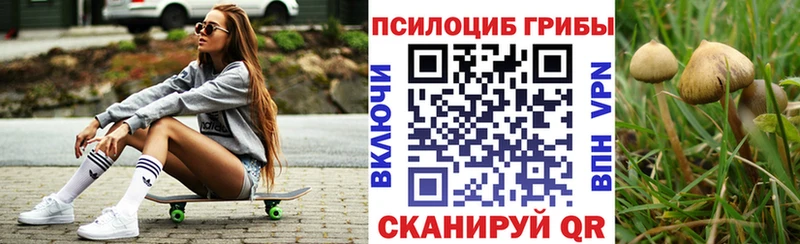 Купить  Ковдор  Галлюциногенные грибы прущие грибы 